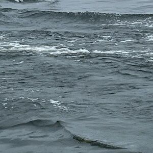 Meet your Posher, David cece